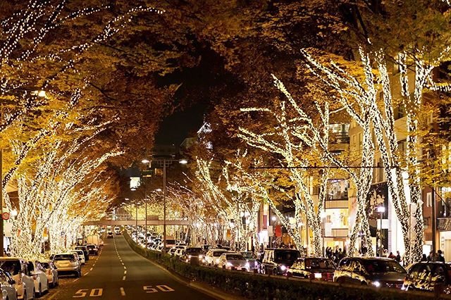 &lsquo;Tis the Season 🎄
Photo Credit: Monocle

@monocletravel 
#omotesando #omotesandohills #japanchrismastdeco #christmas #newyear #travel #menswear #inspiration #2020