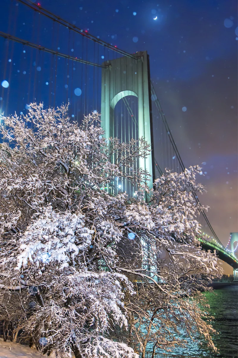 The Verrazano Bridge Series