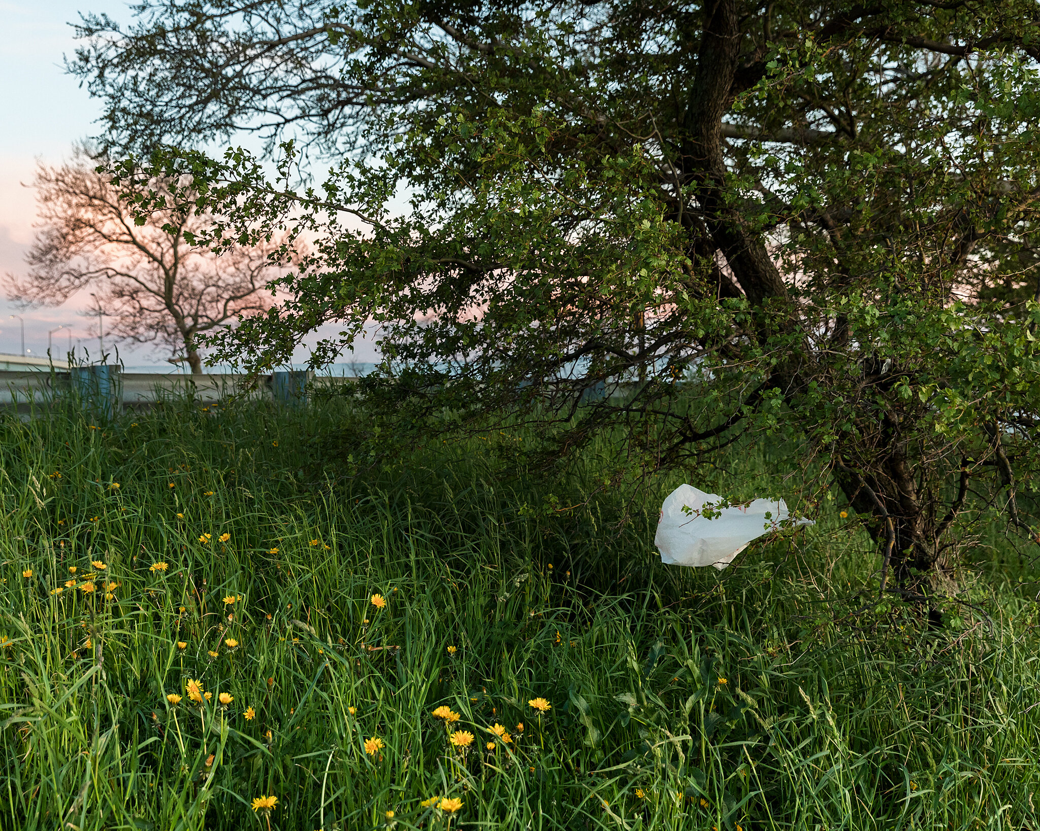 Far Apart by James Prochnik_Plastic Bag.jpg