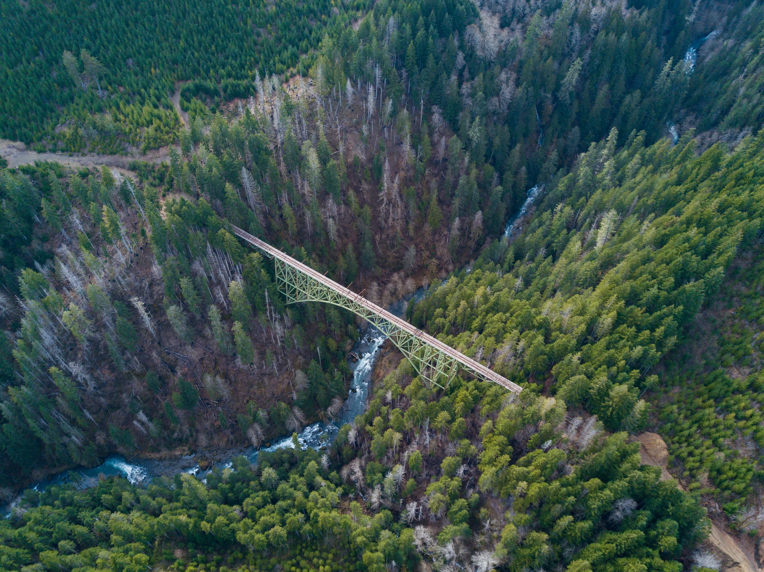 DJI_0085.jpg