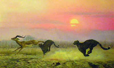 Evening Chase , Oil on canvas, 24 x 40"