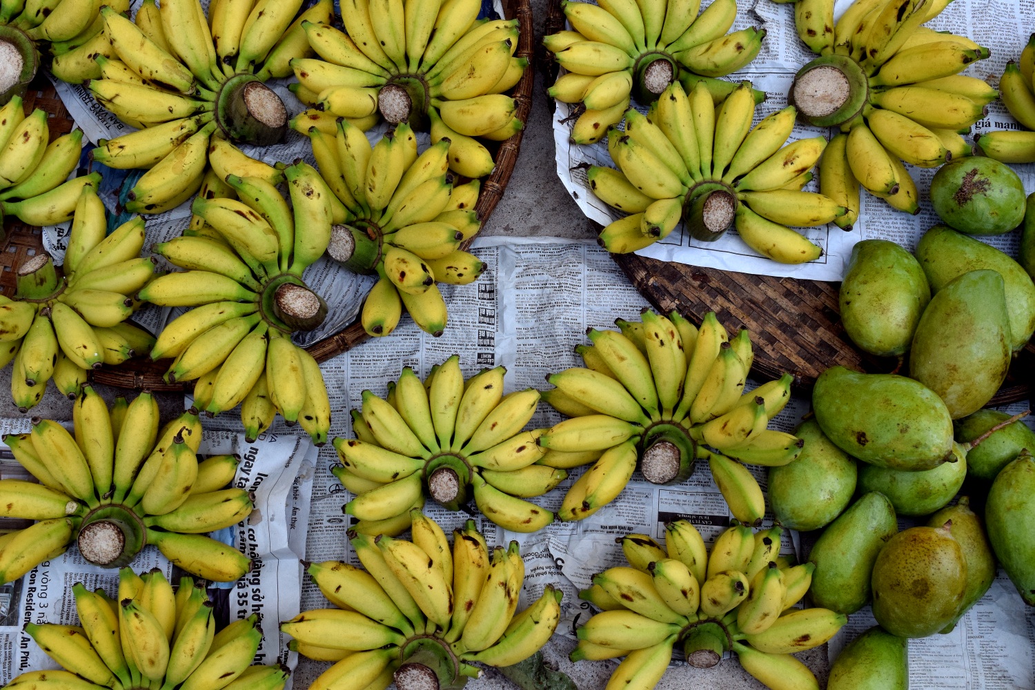 Bananas in the Mekong