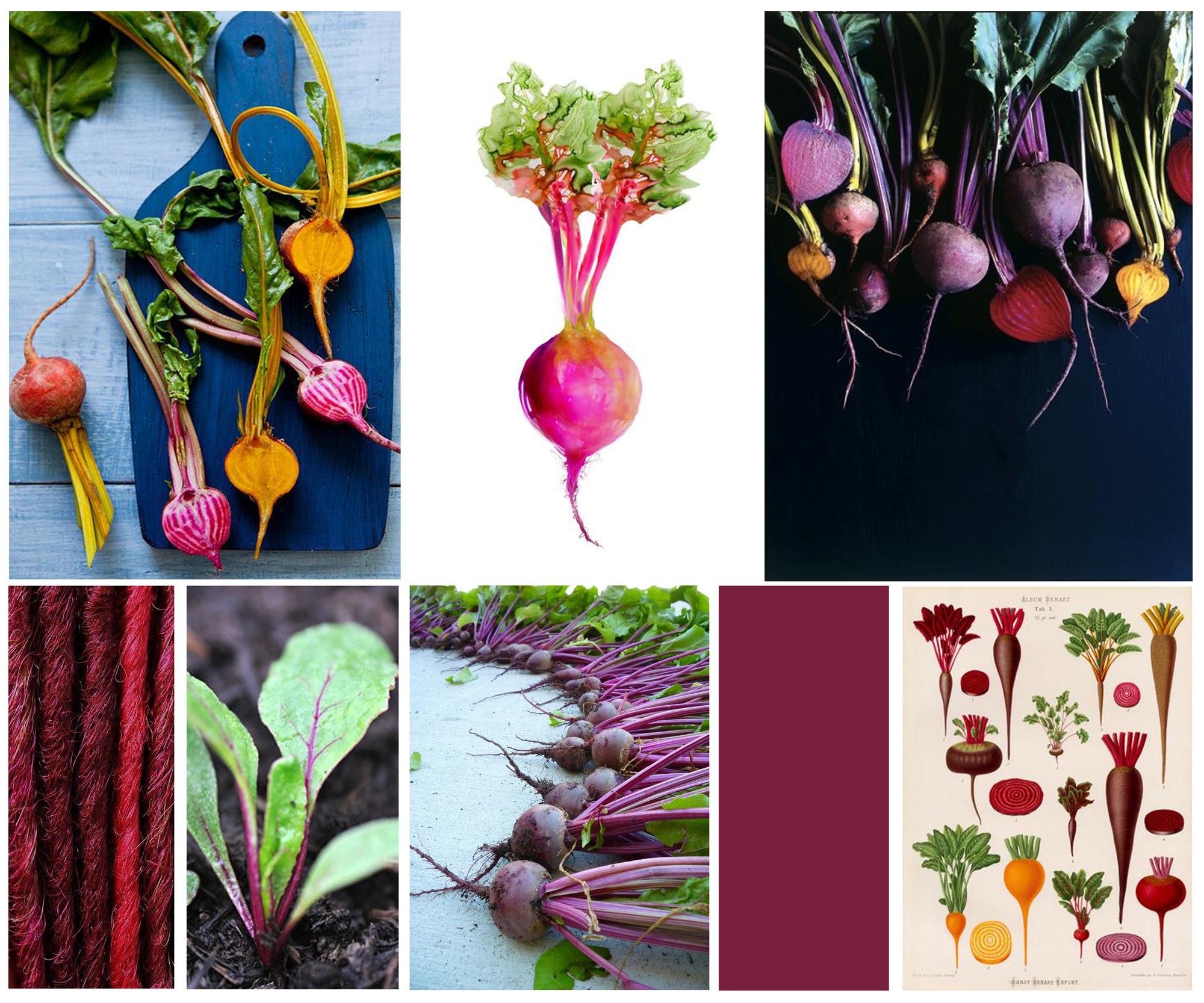 Beets moodboard inspiration beet color beet red fayelessler.com