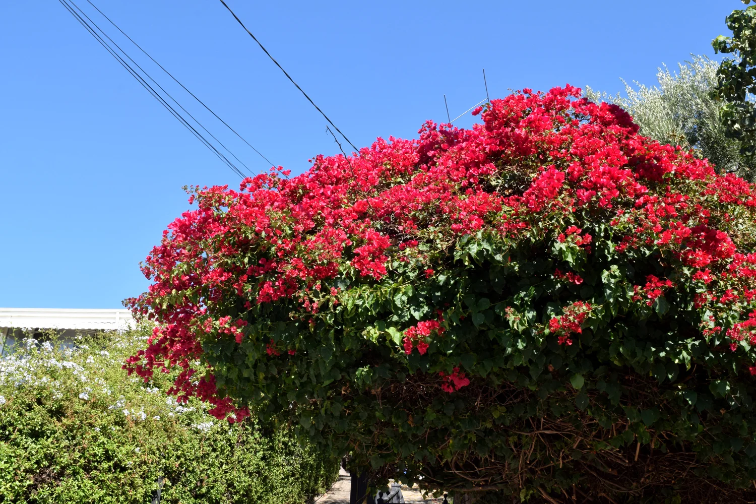 explore travel Los Angeles LA Los Feliz Silverlake hipster neighborhoods discover photography travel California CA Faye Lessler