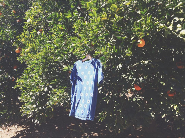 An indigo dyed t-shirt drying in the breeze of Liz's California orange grove. Image courtesy of Liz Spencer.