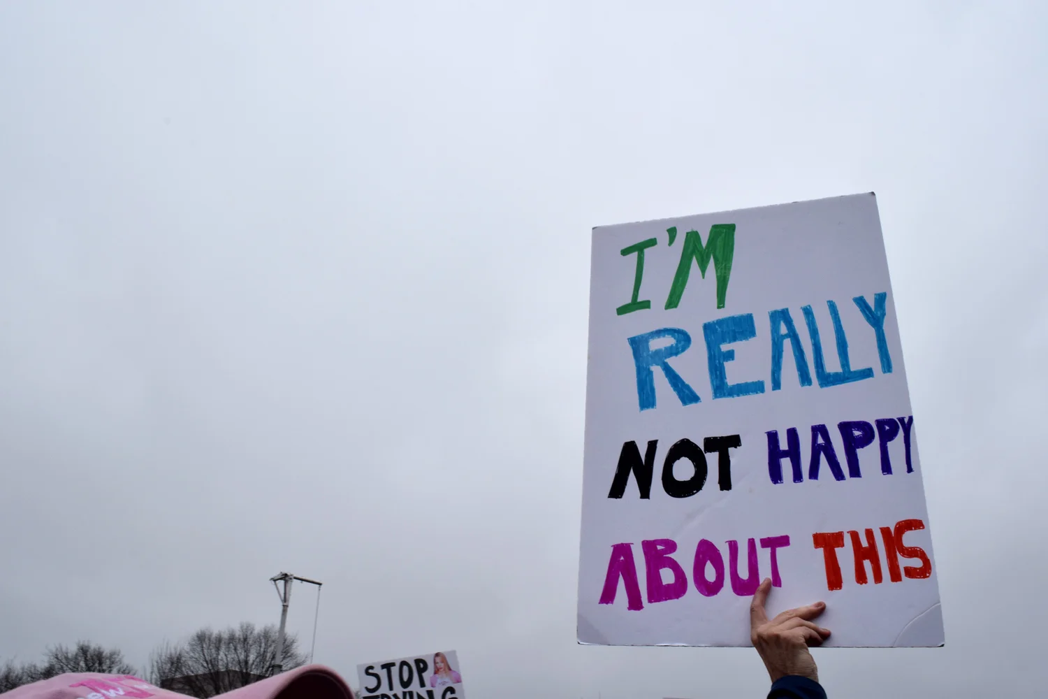 WomensMarch2.jpg