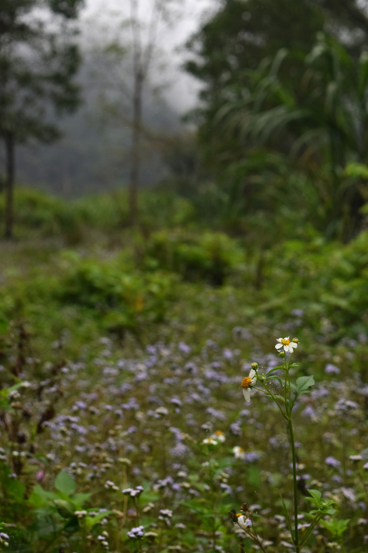 Photo by Faye Lessler of Sustaining Life.
