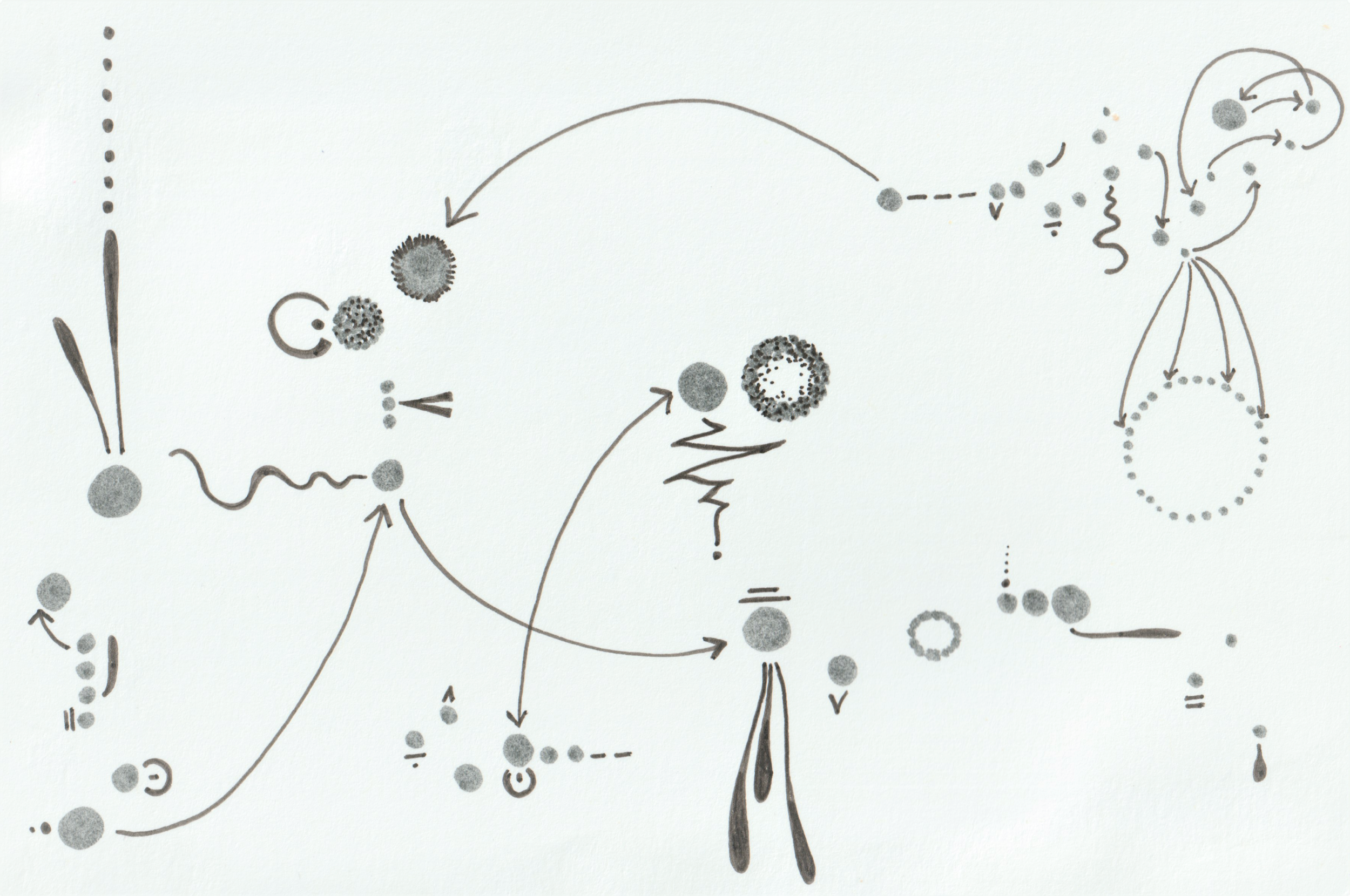 Damian Koss -Ecosystem.png
