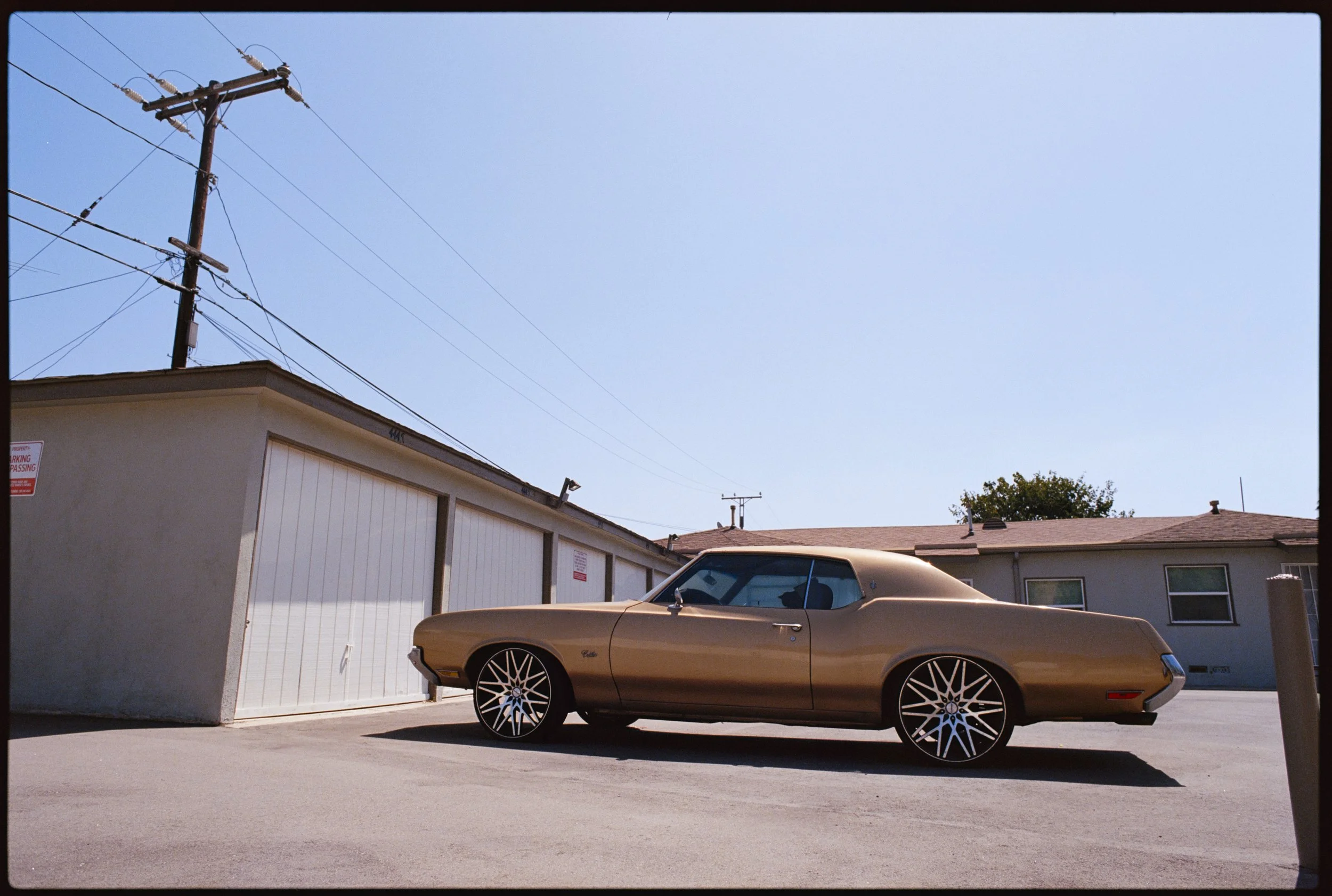 EKTAR 100 (16 of 37).jpg
