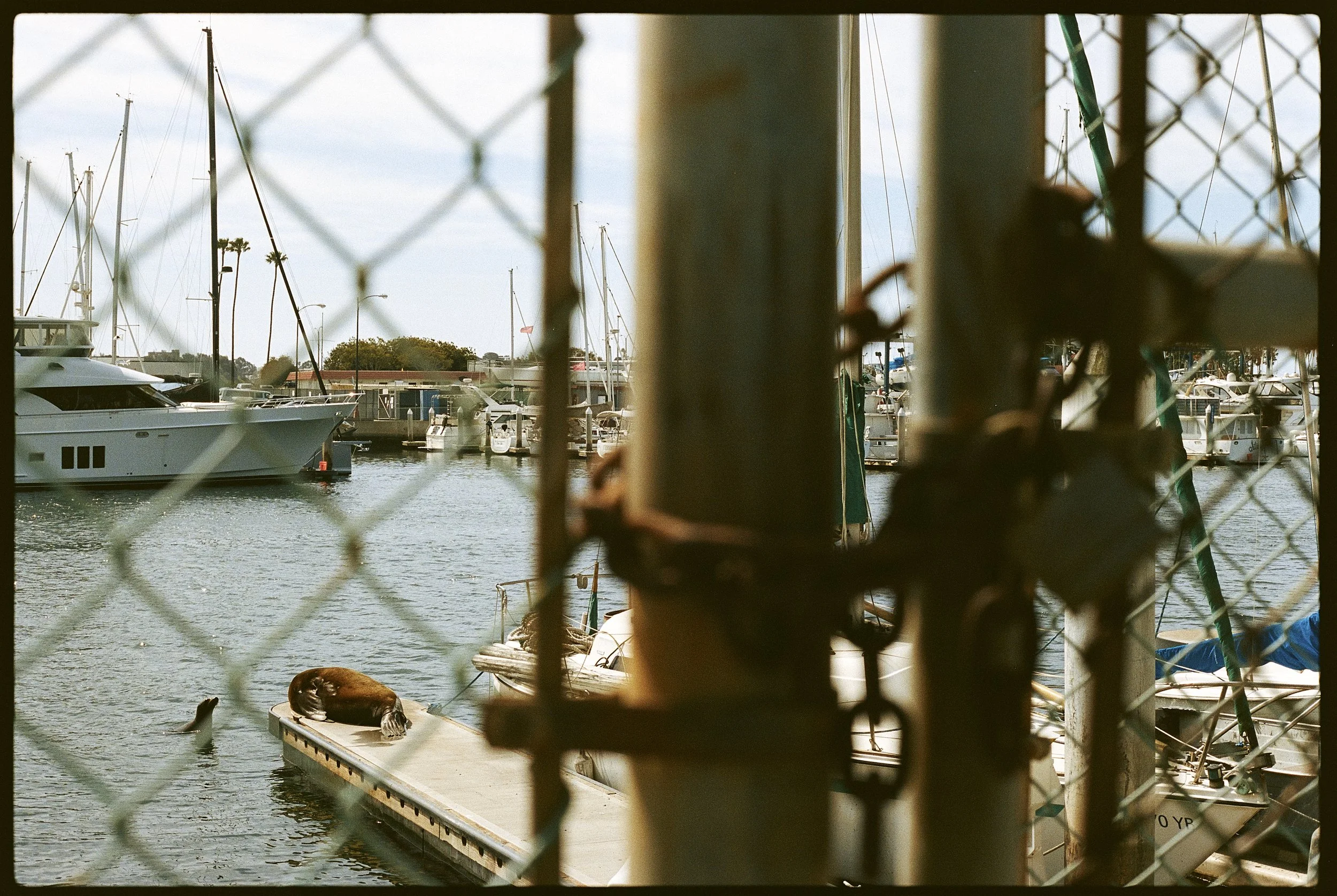 JEREMY CANNON_01_PORTRA 400_01.jpg