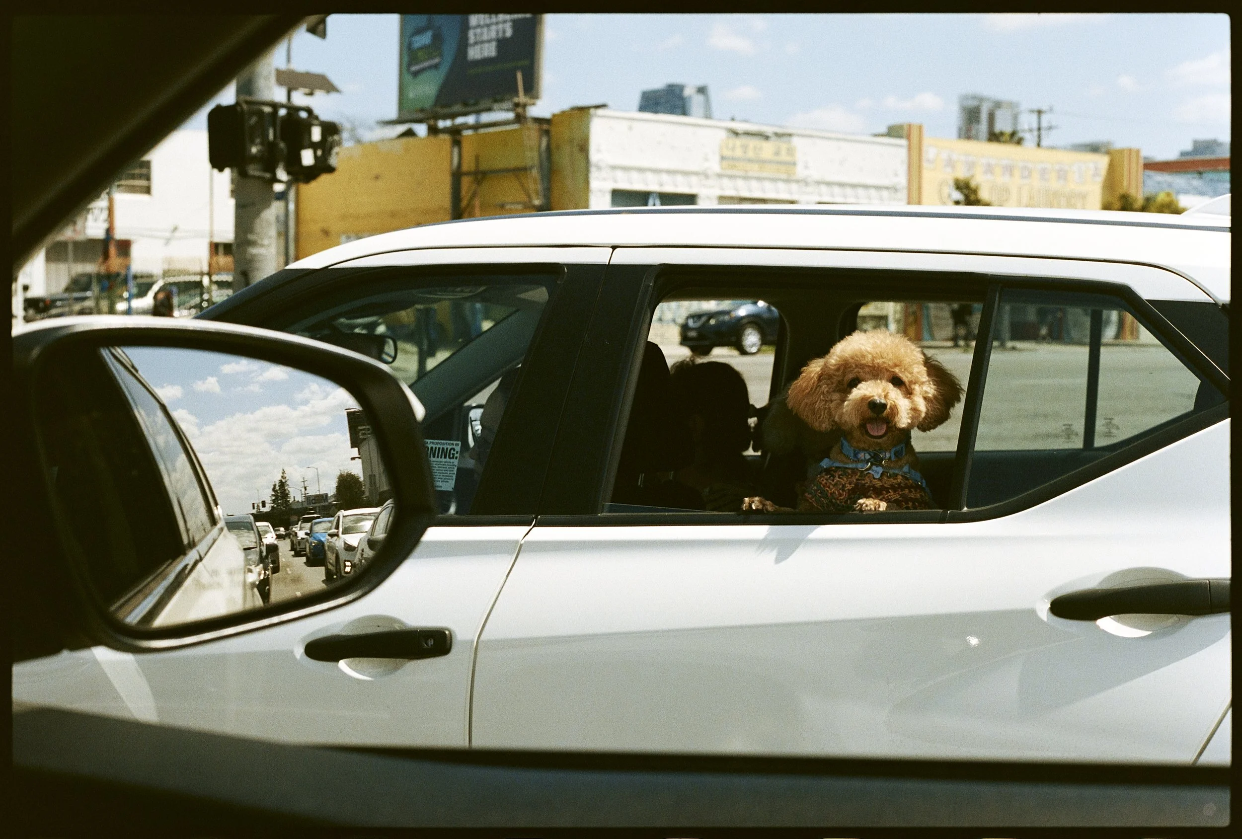 JEREMY CANNON_01_PORTRA 400_18.jpg