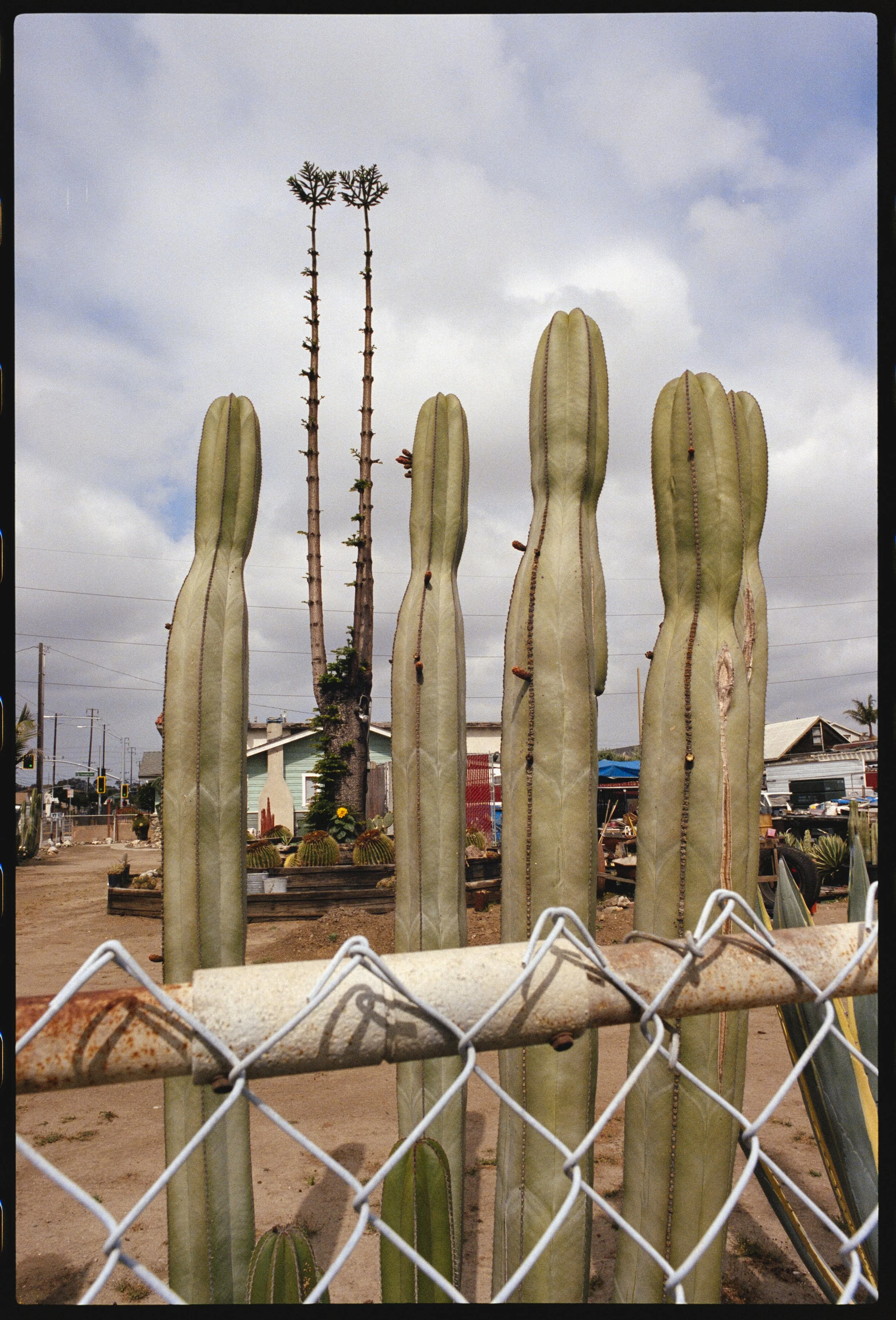 PORTRA 400 (9 of 37).jpg