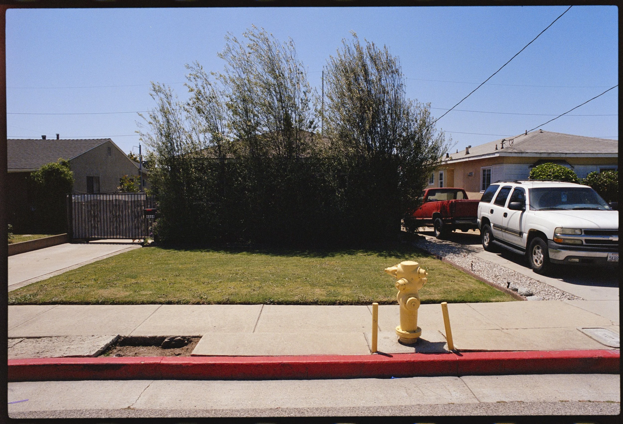 PORTRA 400 (16 of 37).jpg