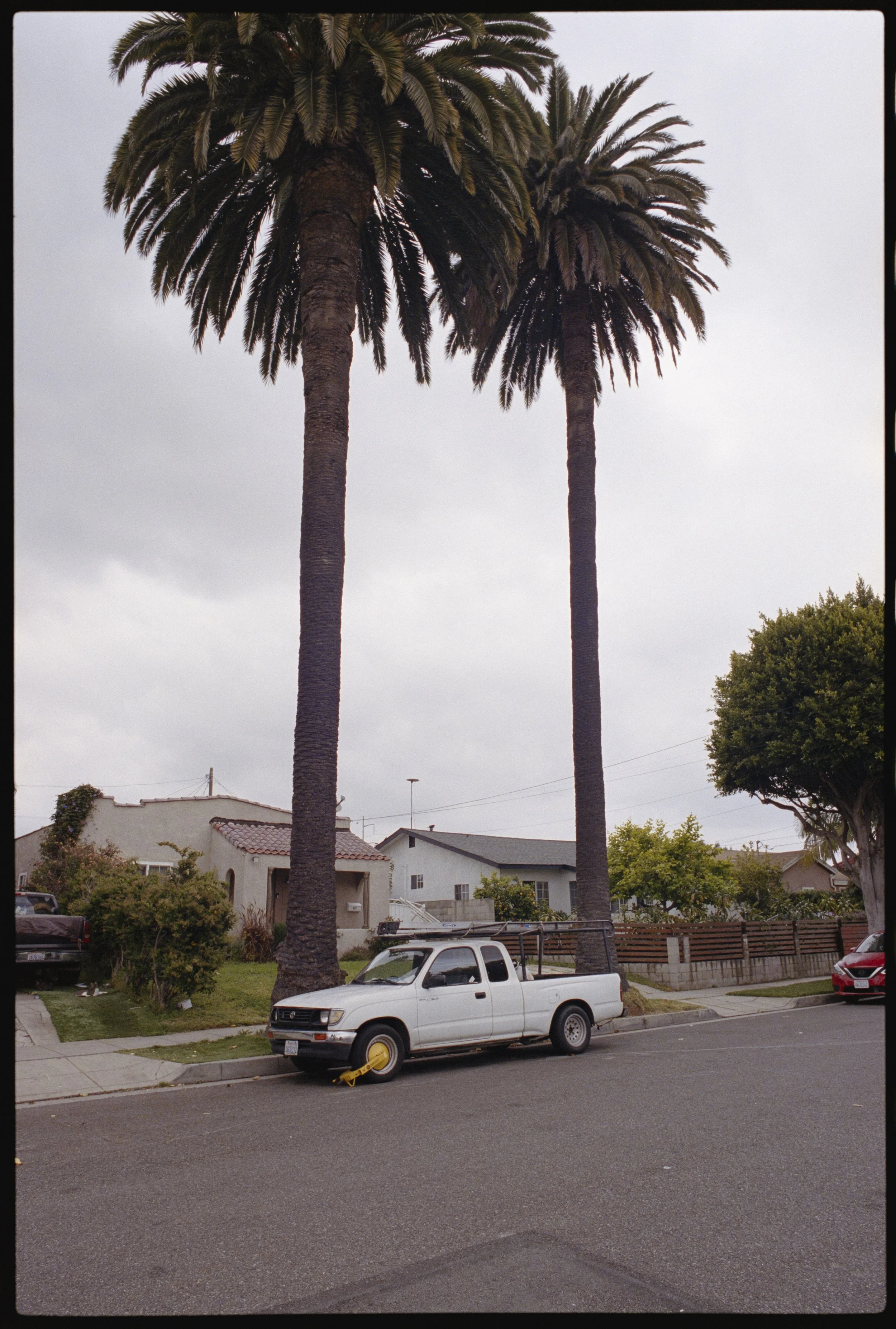 PORTRA 400 (17 of 38).jpg