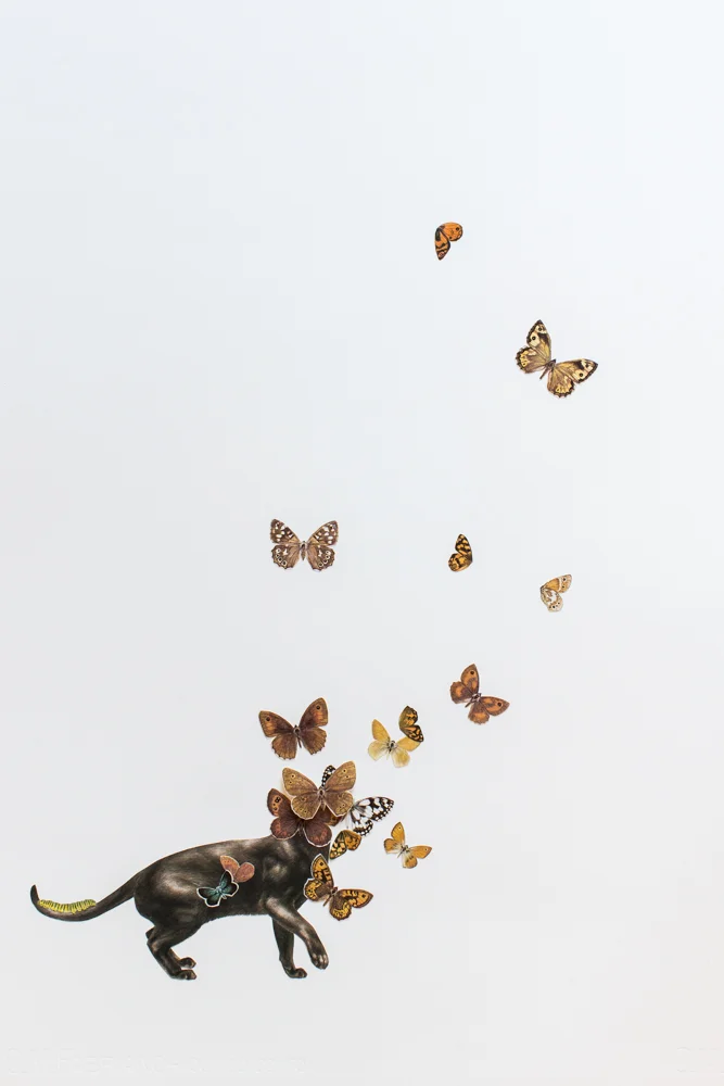 Lucy-6.jpg