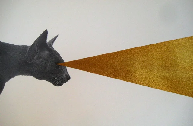 laser cat #367
