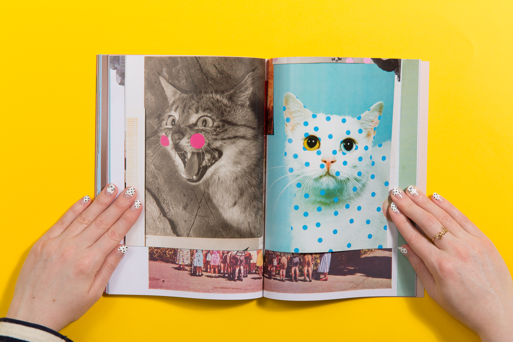 Cat People magazine