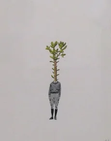 succulent pilot