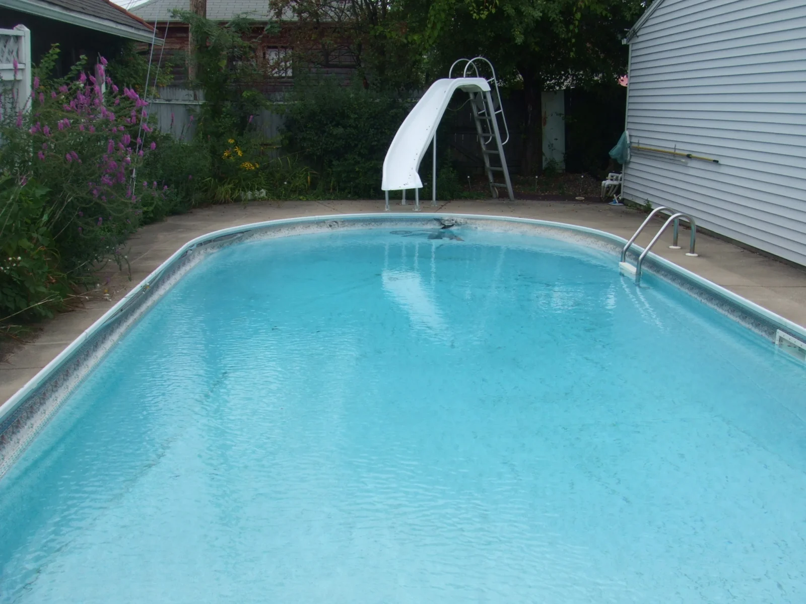 17x37 Majestic Oval Buffalo