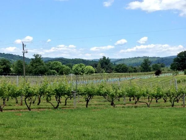 Philip Carter Winery in Hume, VA