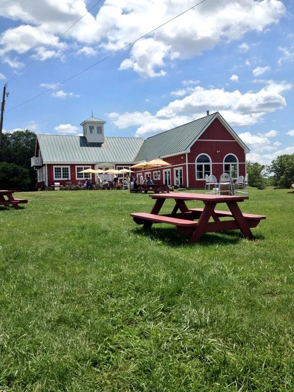 Wine Tasting at Philip Carter.jpg