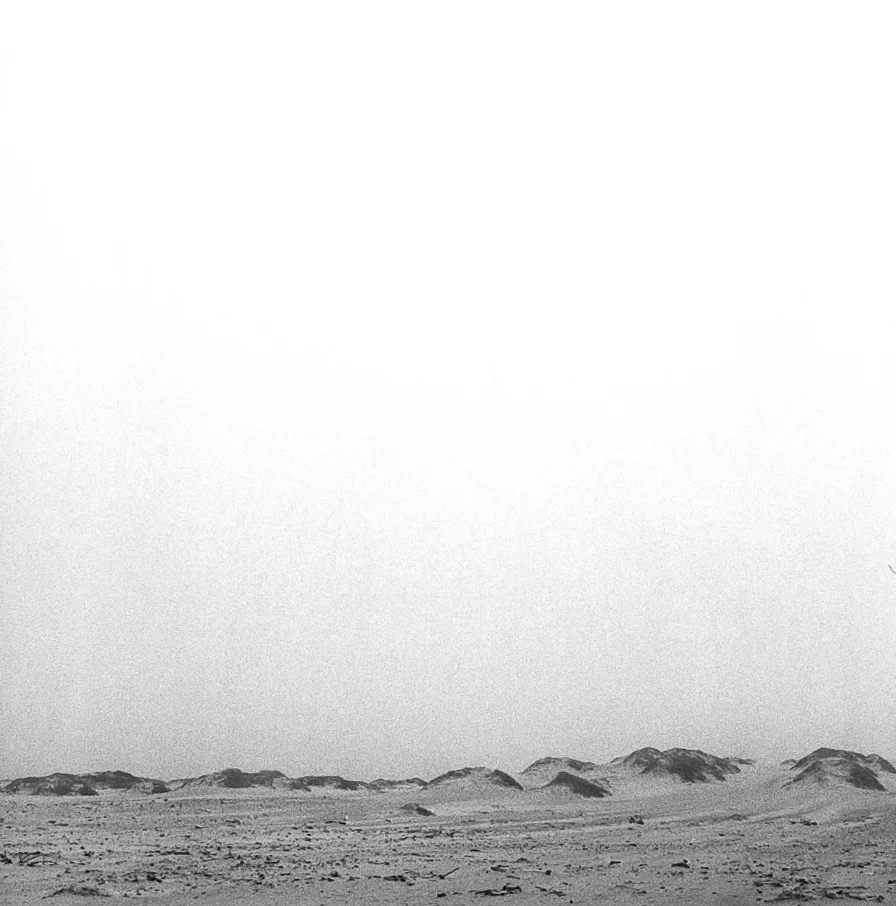 Central Coast - 2013