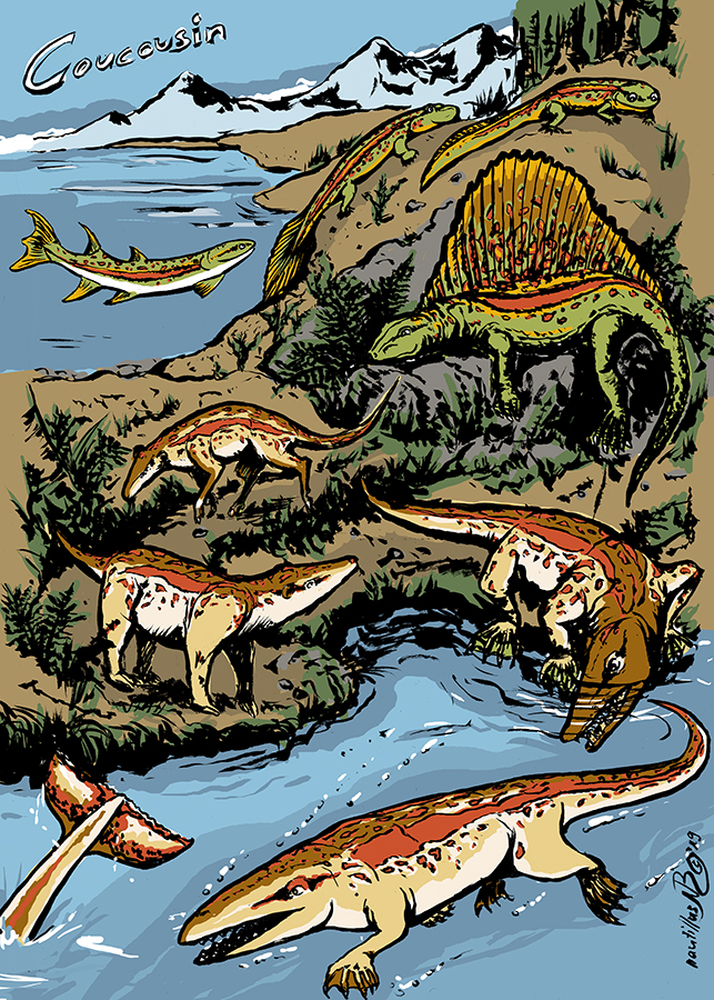 2_Wal_Evolution_NBoesch.jpg