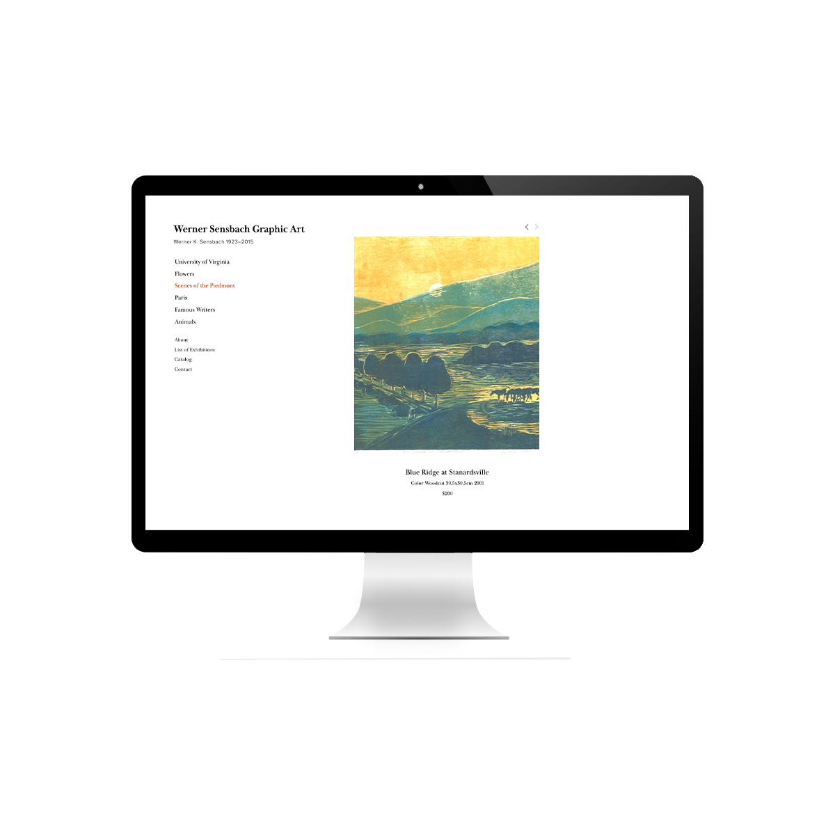 Website-for-Artist-by-Brightworks-LLC.jpg
