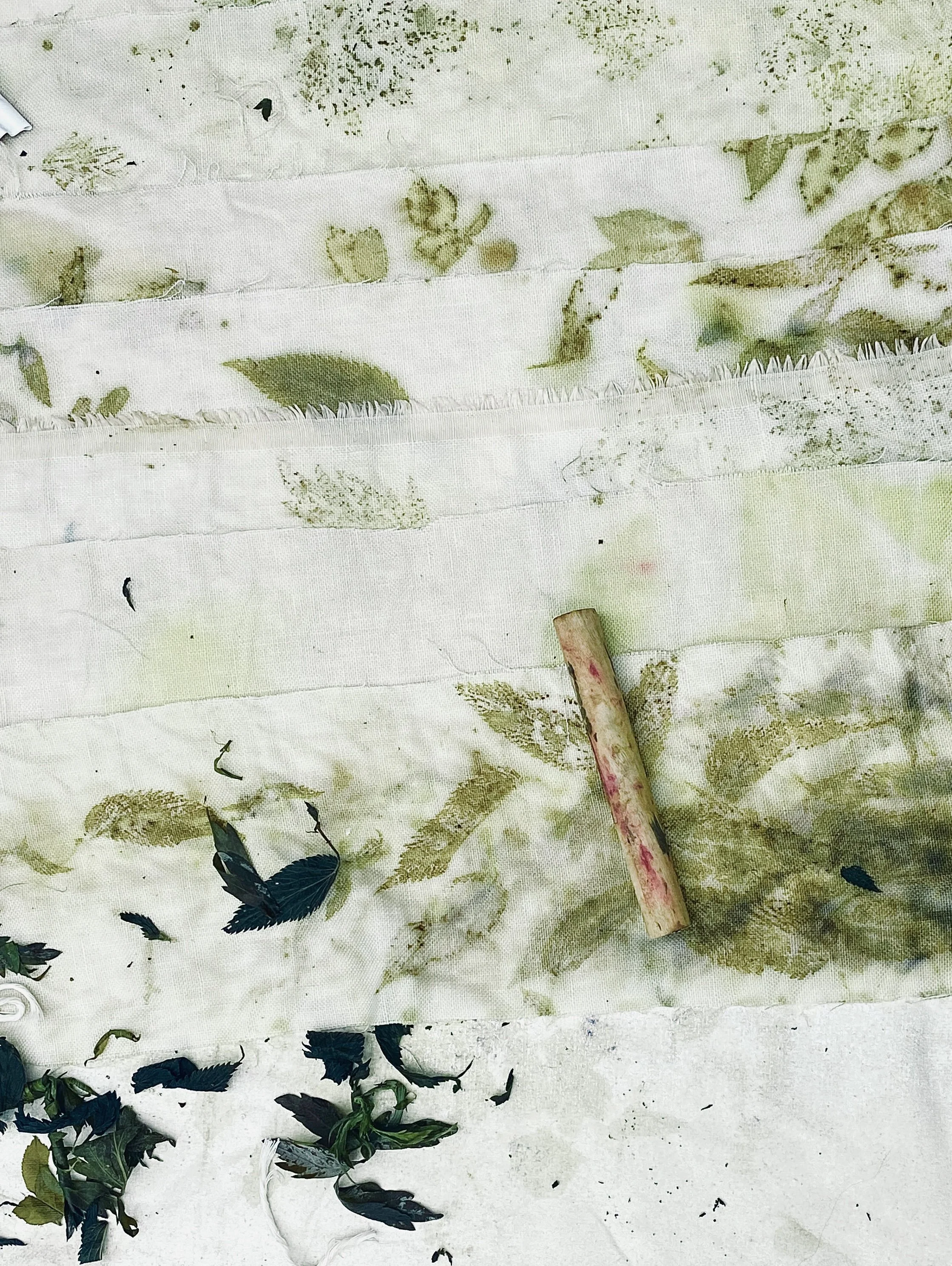 Spring Clean Forage & Dye