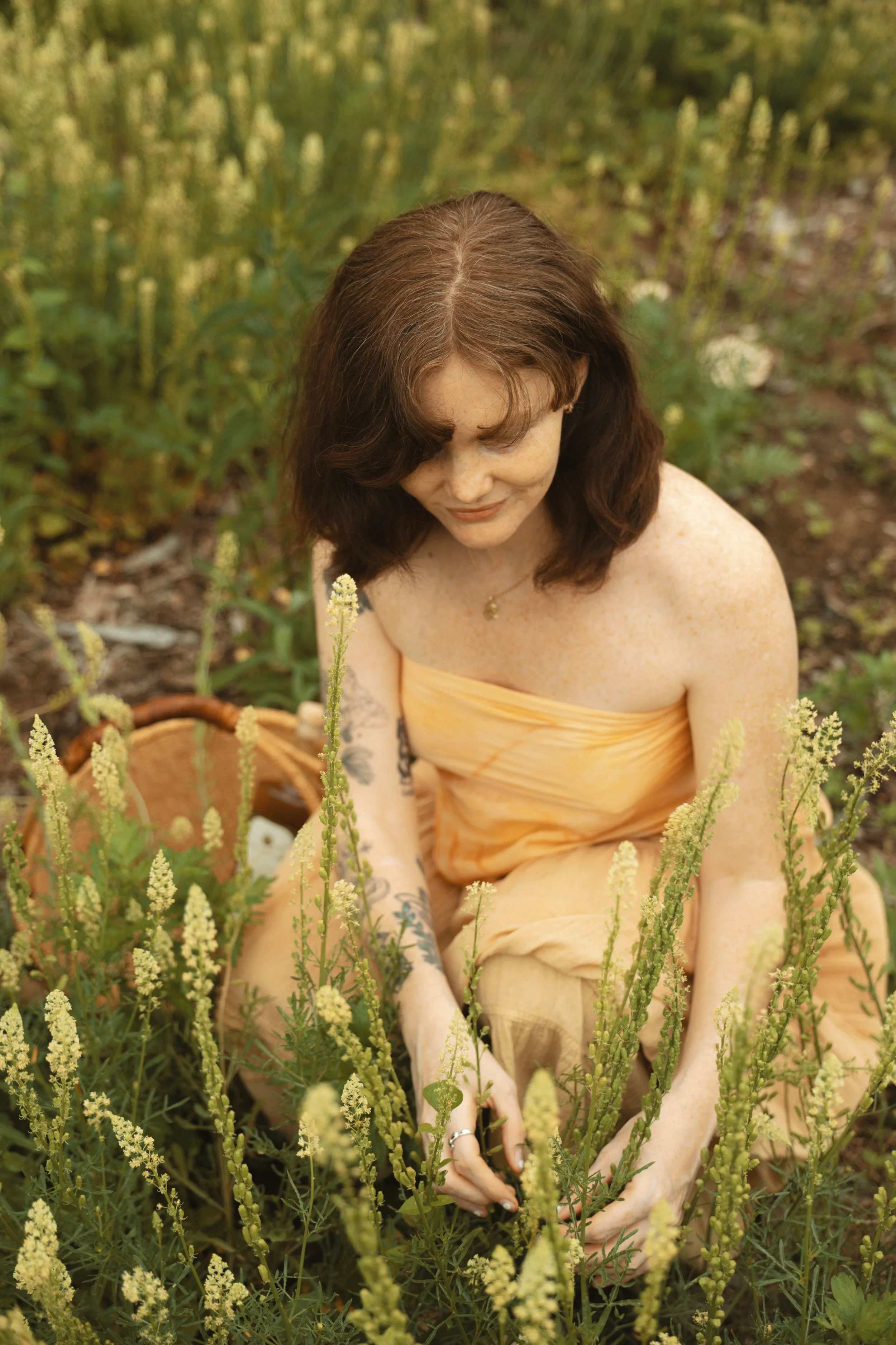 Sierra 17 - CLARITY - Picking flowers.jpg