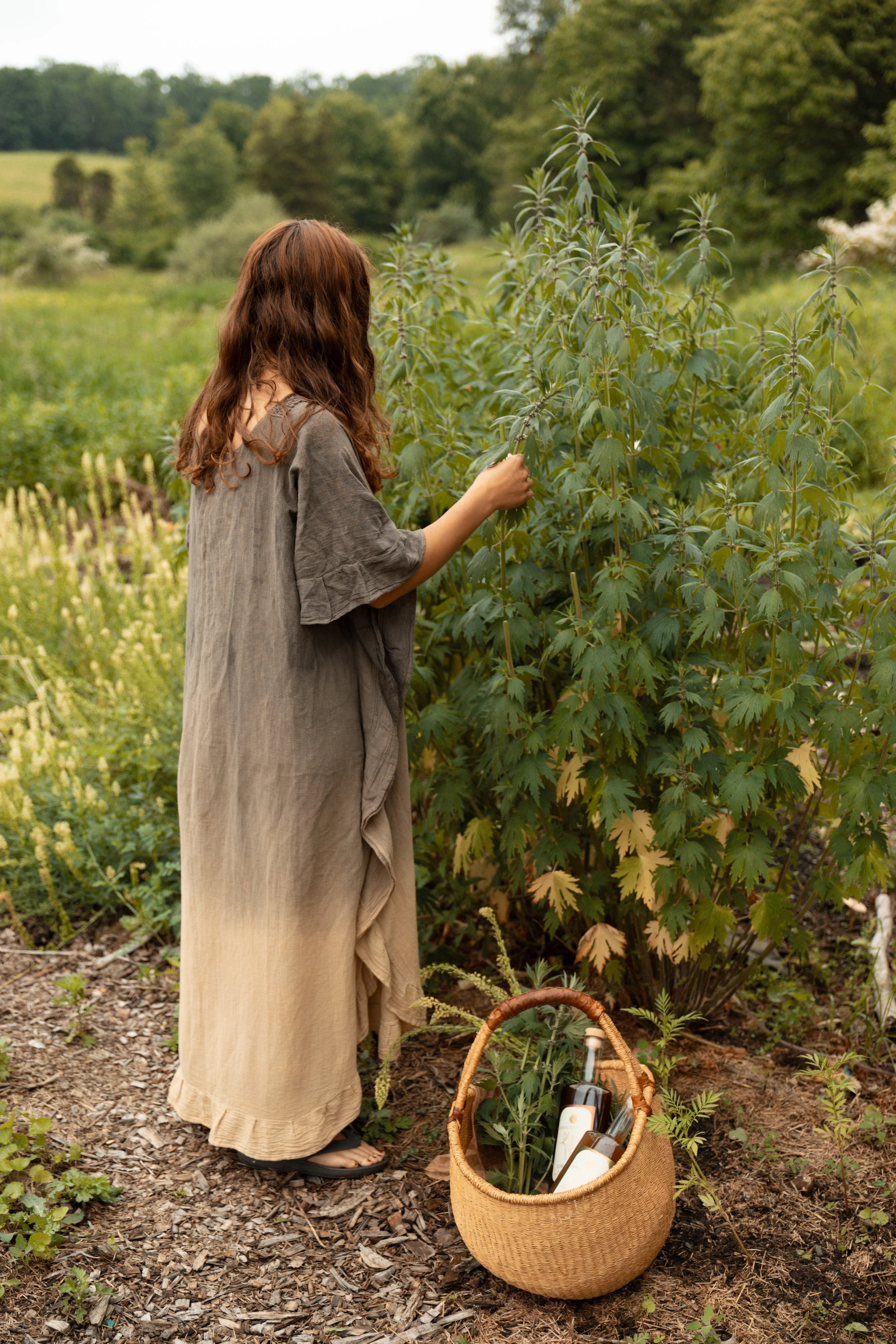 Hannah 37 - Hannoux Model.jpg