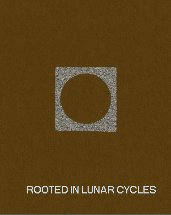 Screen Shot 2026-01-22 at 4.12.59 PM.png