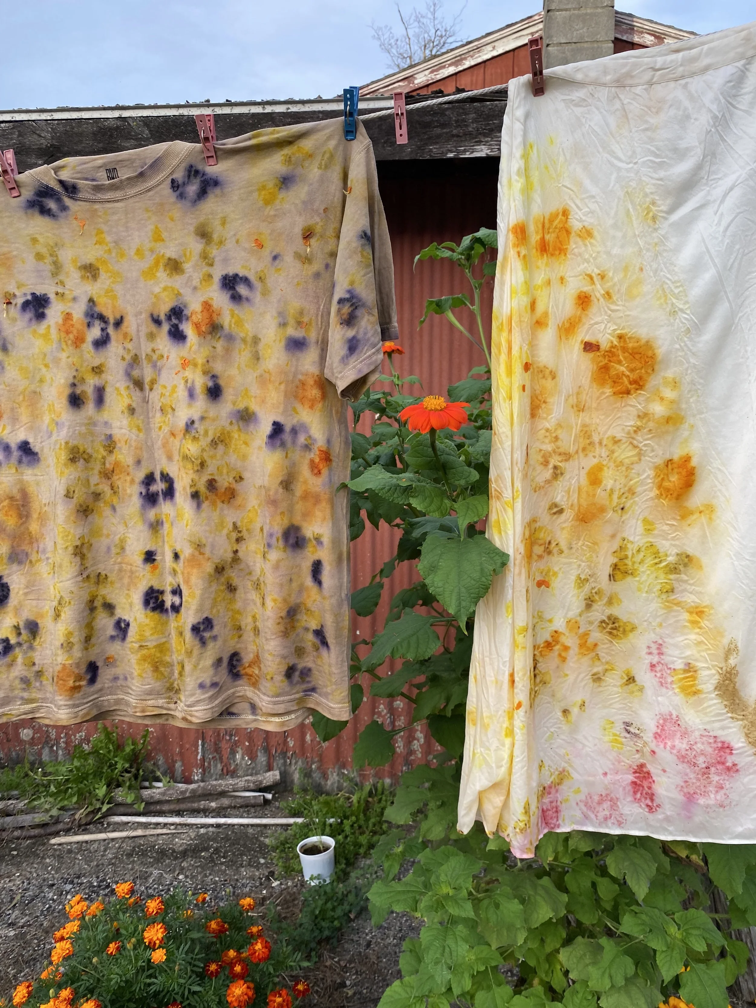 floral orints.jpg