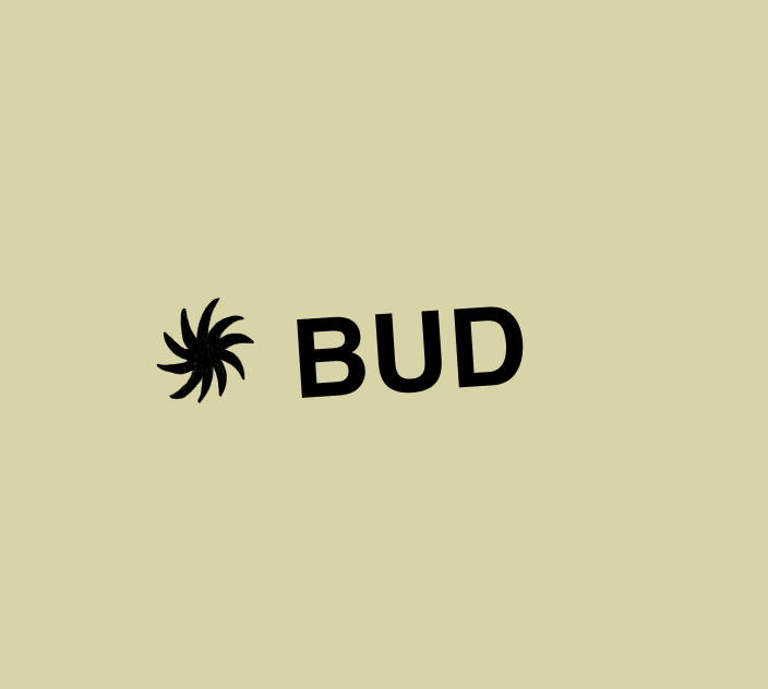 Bud - Studio Pass