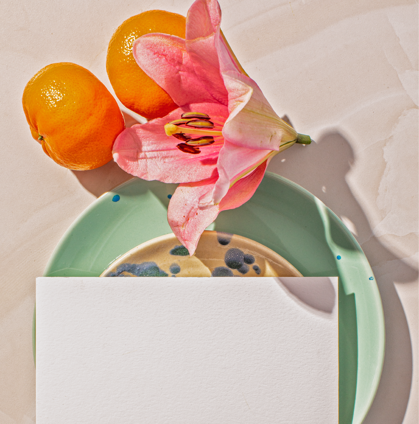 Maison Blanche-01.png