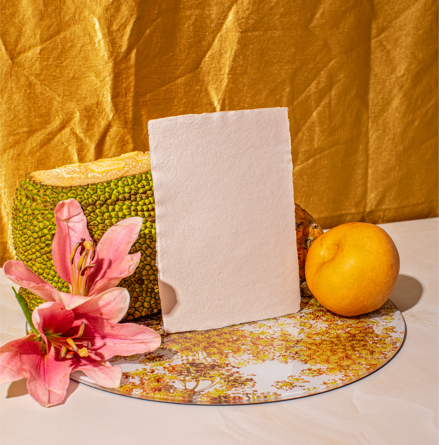 Maison Blanche-02.png