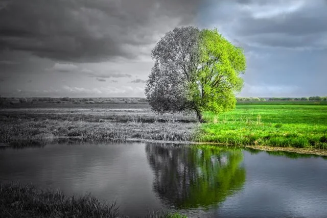 ....Prière pour la Pentecôte..Prayer for Pentecost....