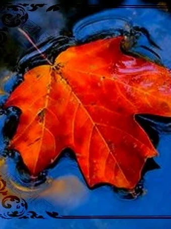 ....Chercher Dieu dans la Cité..Seeking God in his Dominion....