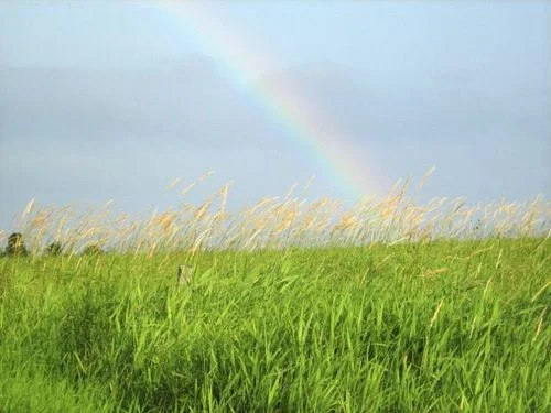 ....Prière à la Trinité!..Prayer to the Trinity!....