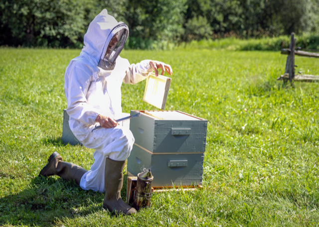 ….Dormir en paix..Stationary sleep….