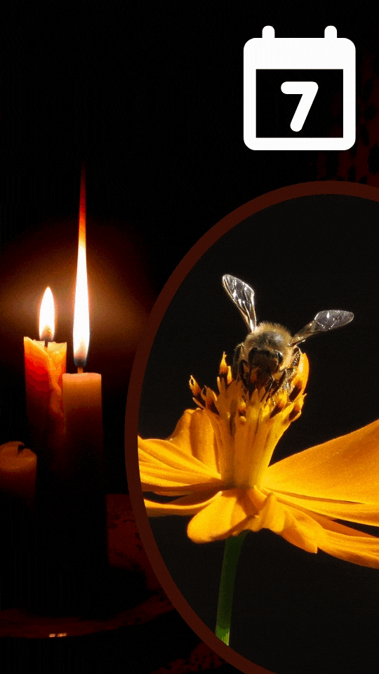 ....Prière de l'abeille..Bee's Prayer....