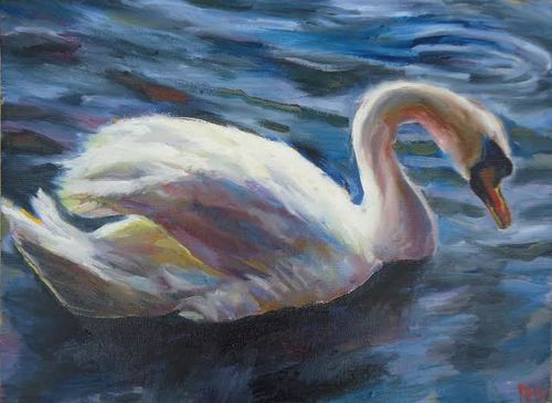 swan.jpeg