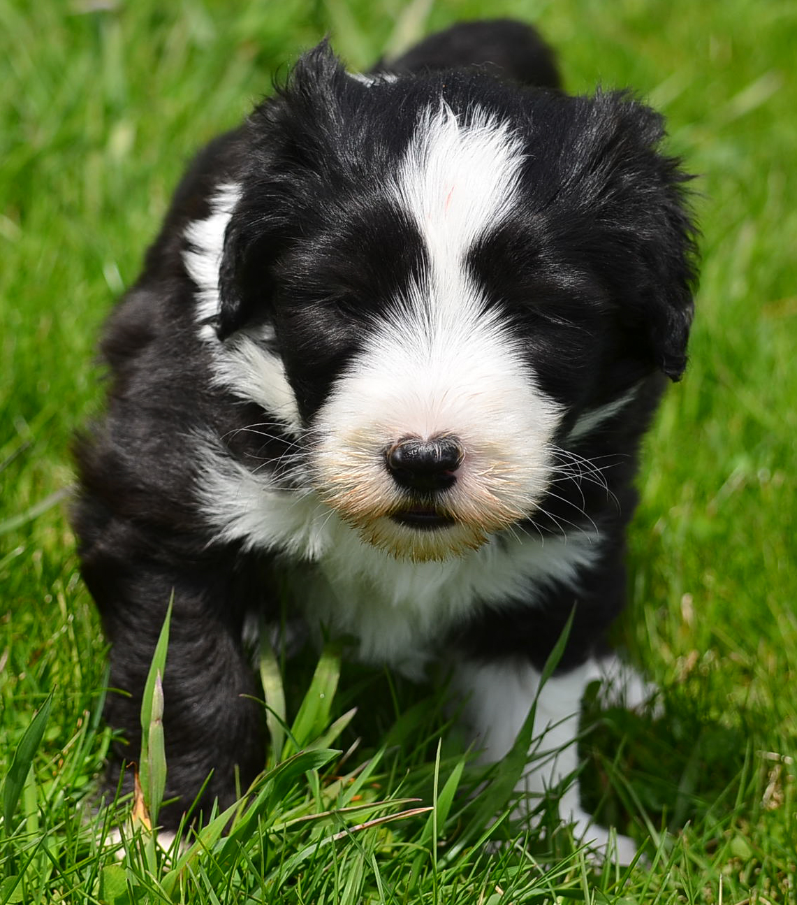 roscoe2-9355.jpg