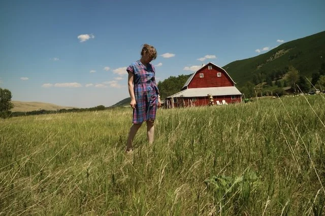 Big Red Barn and Long Grass, Alice Finbow Web 2026.jpeg