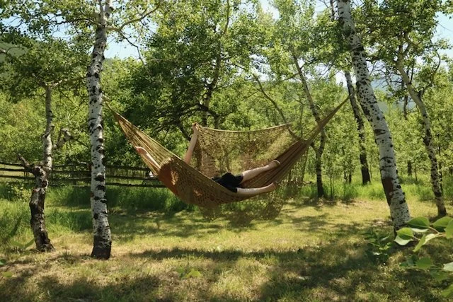 Hammock,  2 Alice Finbow for web 2026.jpeg