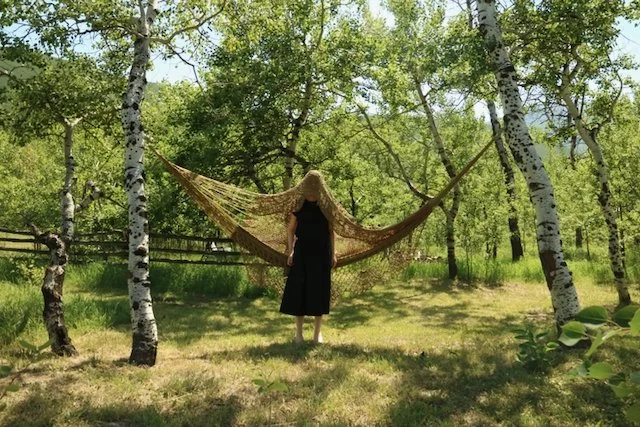 Hammock,  6 Alice Finbow for web 2026.jpeg