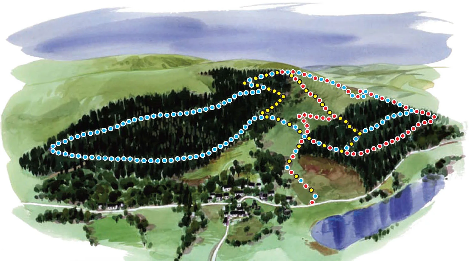 PlanofWalks.jpg