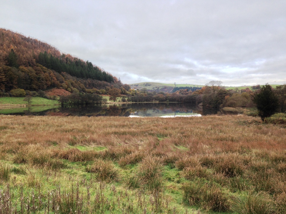 lakes.jpeg