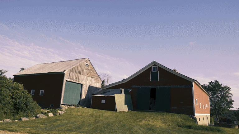 ChristianRuth-gif1.gif