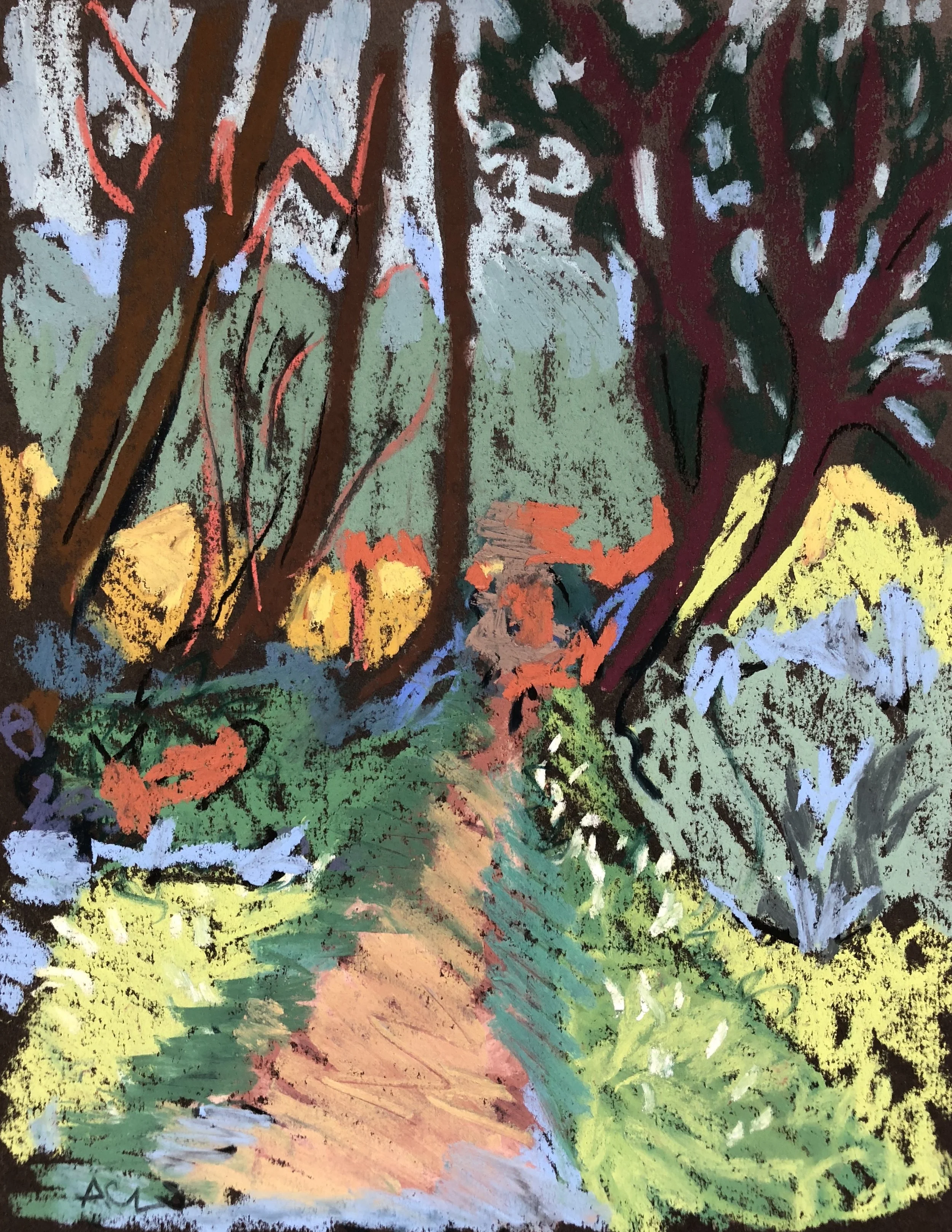 Track through the wood